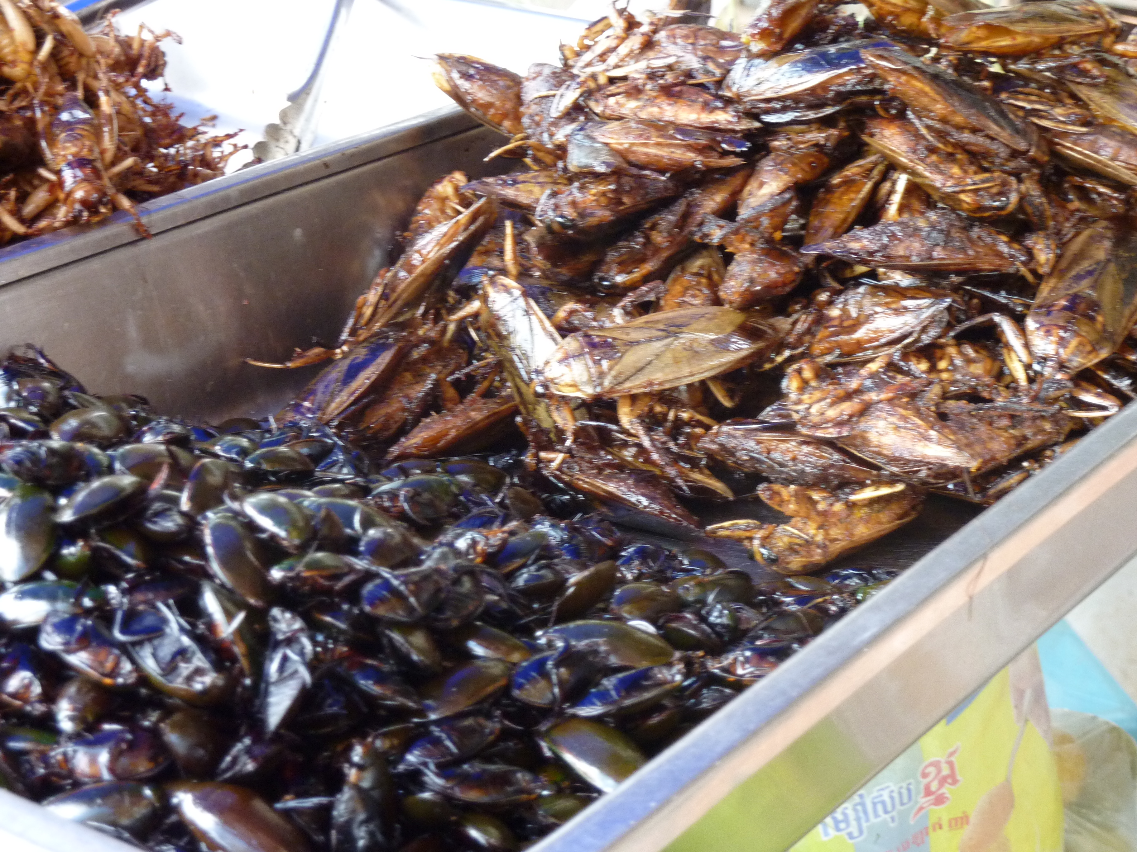 Cooked Grasshoppers